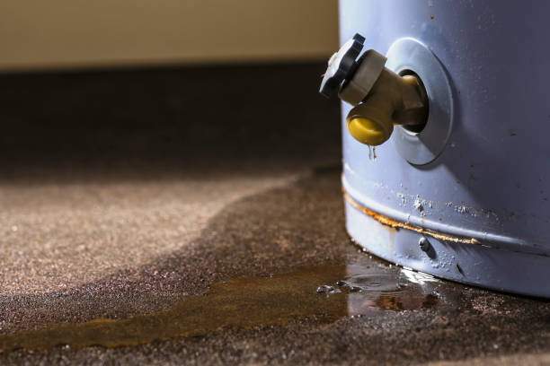 West Palm Beach, FL Water damage restoration Company