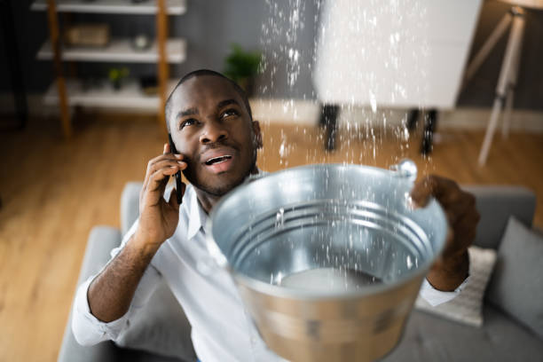 Best Local water damage restoration  in West Palm Beach, FL