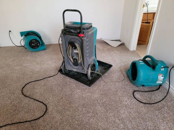 Best Ceiling water damage repair  in West Palm Beach, FL