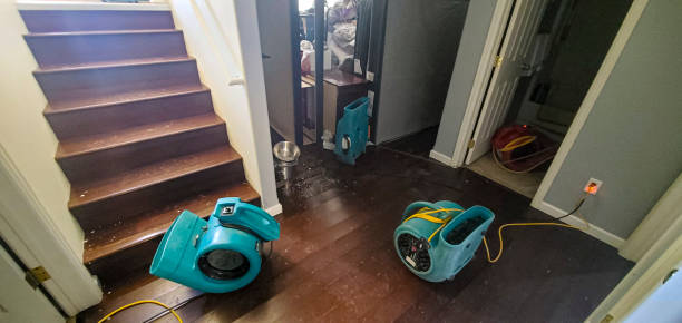 Best Flood restoration services  in West Palm Beach, FL