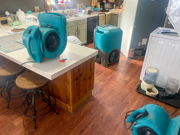 Best Commercial water damage restoration  in West Palm Beach, FL