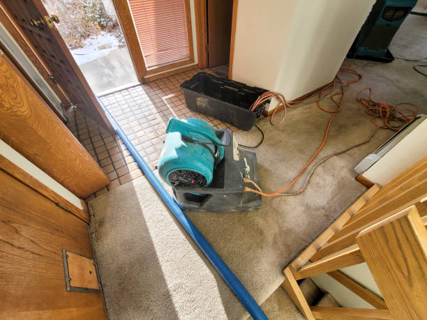 Best Water damage cleanup near me  in West Palm Beach, FL
