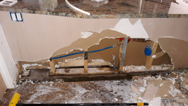 Best Flooded house restoration  in West Palm Beach, FL