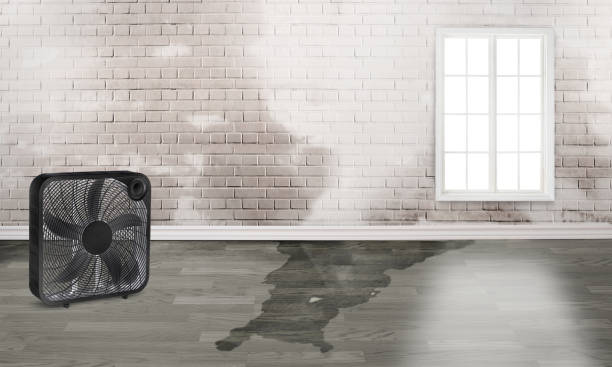  West Palm Beach, FL Water damage restoration Pros