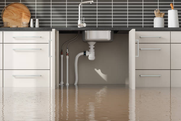 Best Water damage restoration near me  in West Palm Beach, FL
