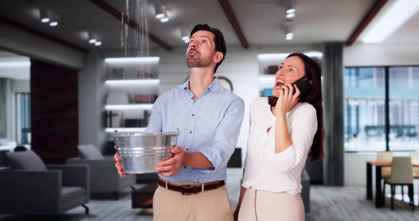 Best Mold removal after water damage  in West Palm Beach, FL