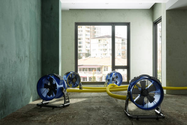 Best Water damage cleanup near me  in West Palm Beach, FL