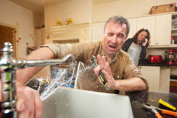 Best Professional water damage repair  in West Palm Beach, FL